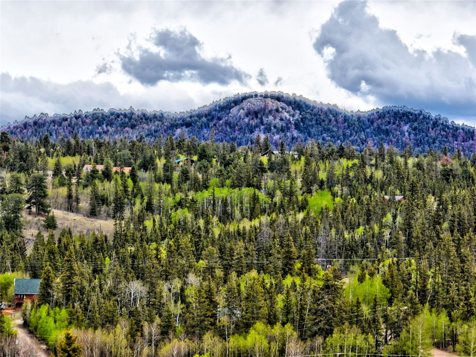 71 Mallard Road Como CO 80432