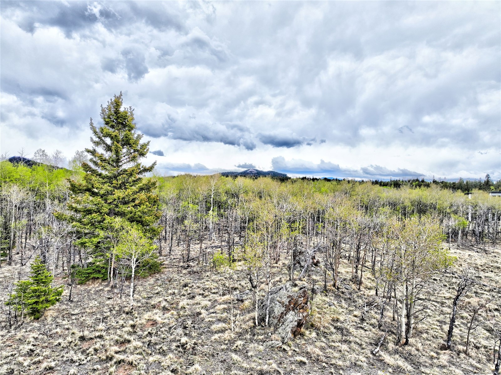71 Mallard Road Como CO 80432