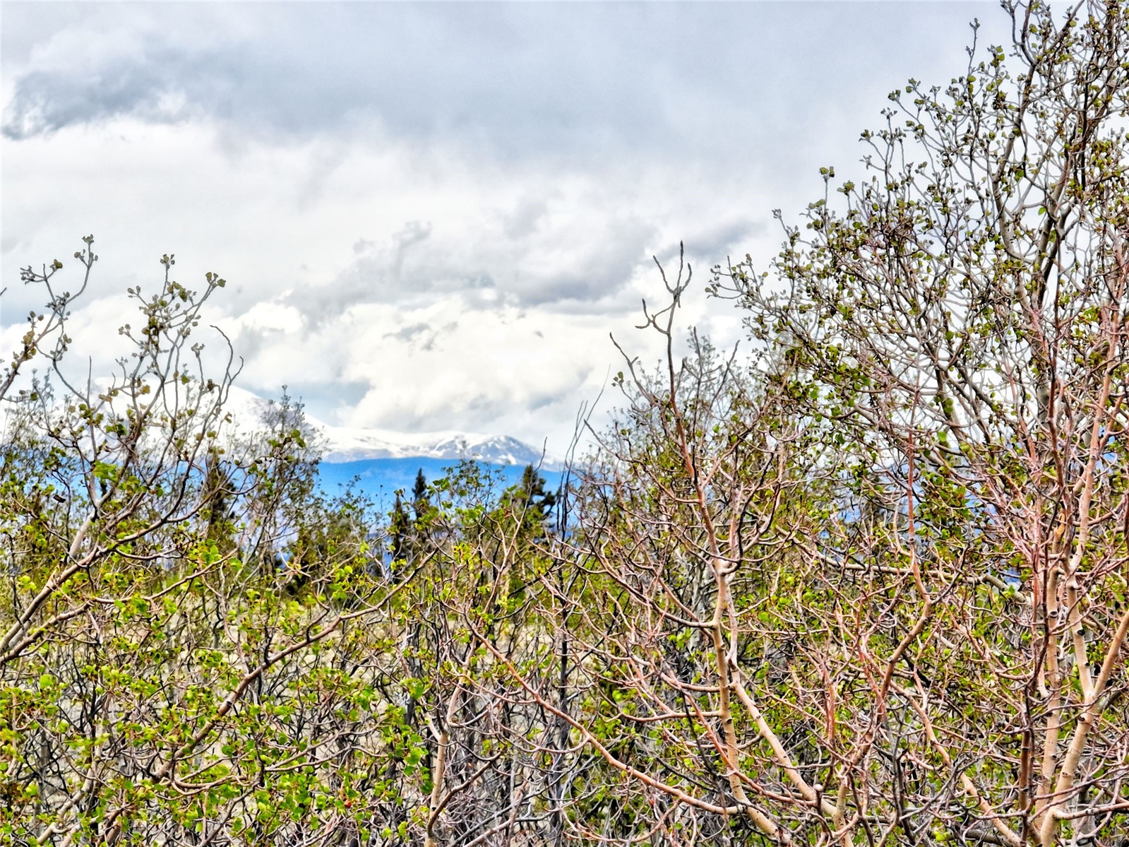 71 Mallard Road Como CO 80432