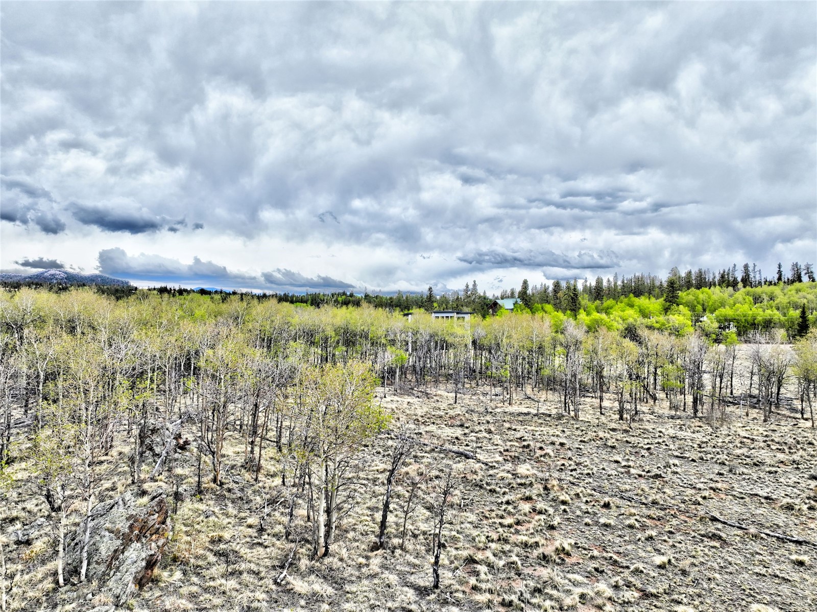 71 Mallard Road Como CO 80432