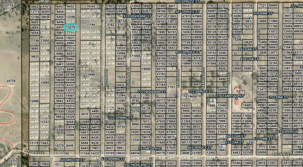 00 Birch Street Hartsel CO 80449