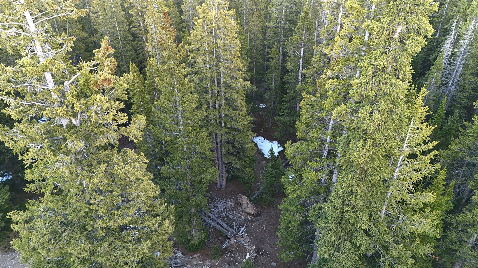252 Silverheels Place Fairplay CO 80440