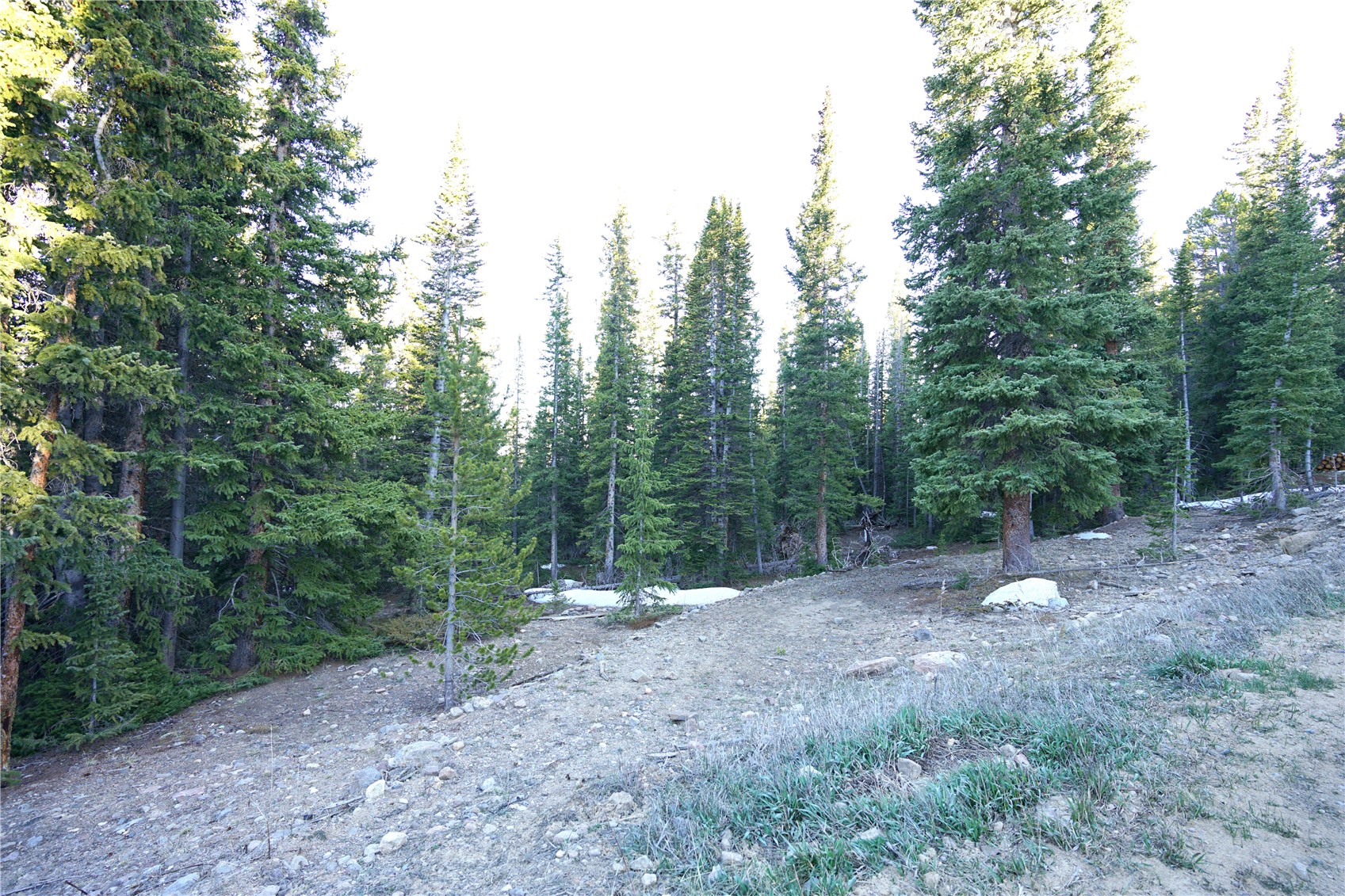 252 Silverheels Place Fairplay CO 80440
