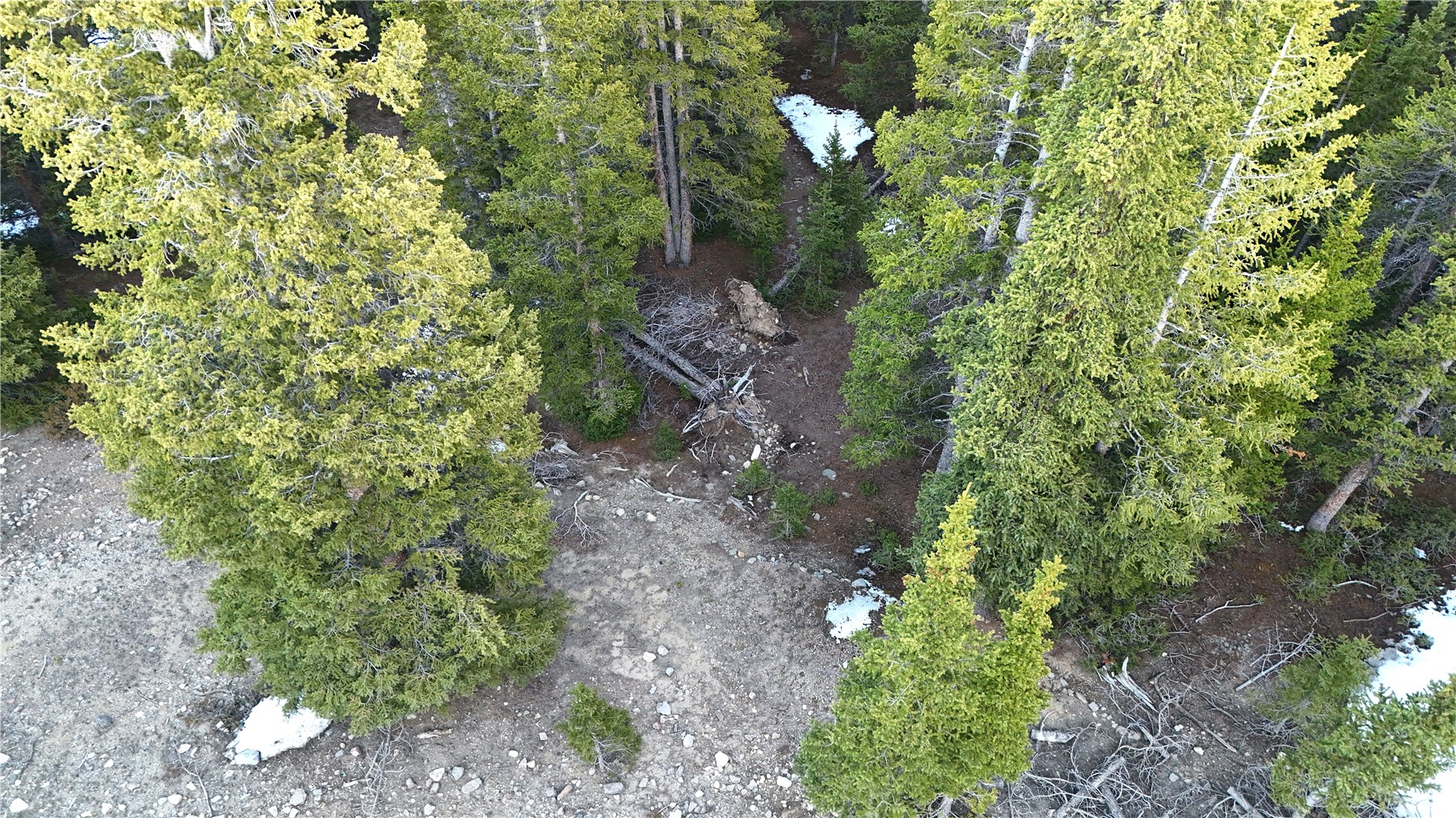 252 Silverheels Place Fairplay CO 80440