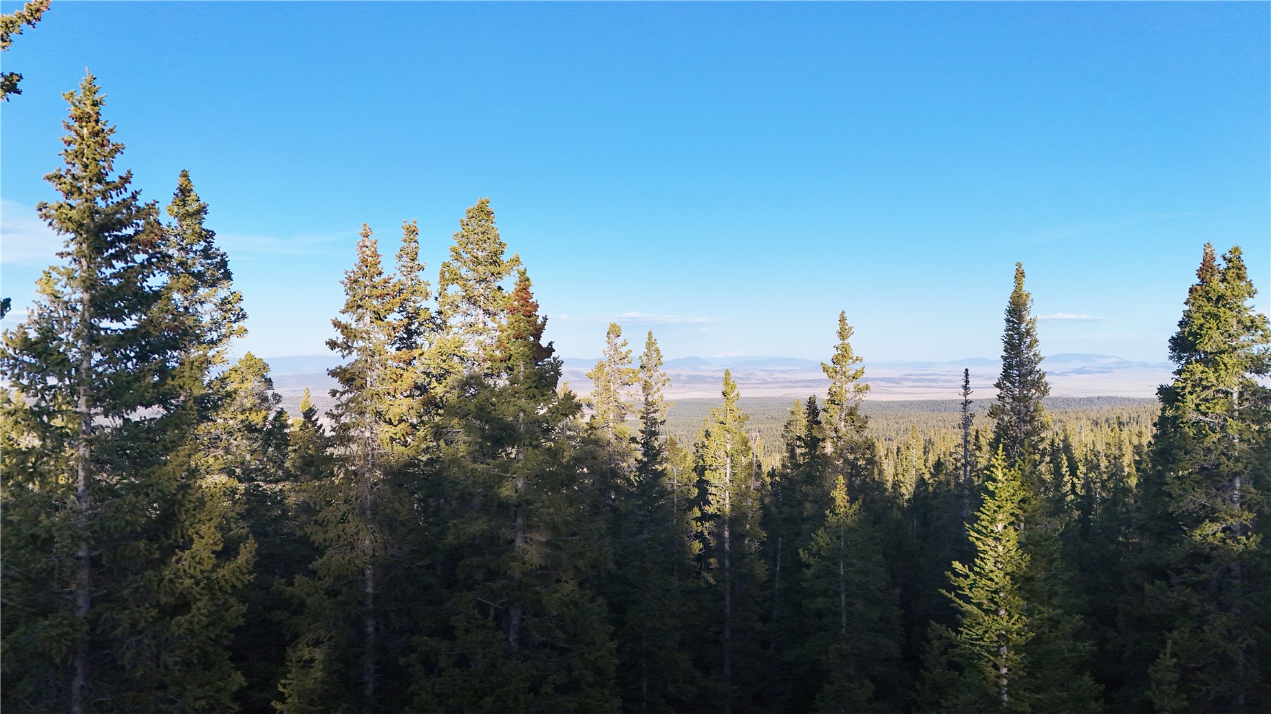 252 Silverheels Place Fairplay CO 80440