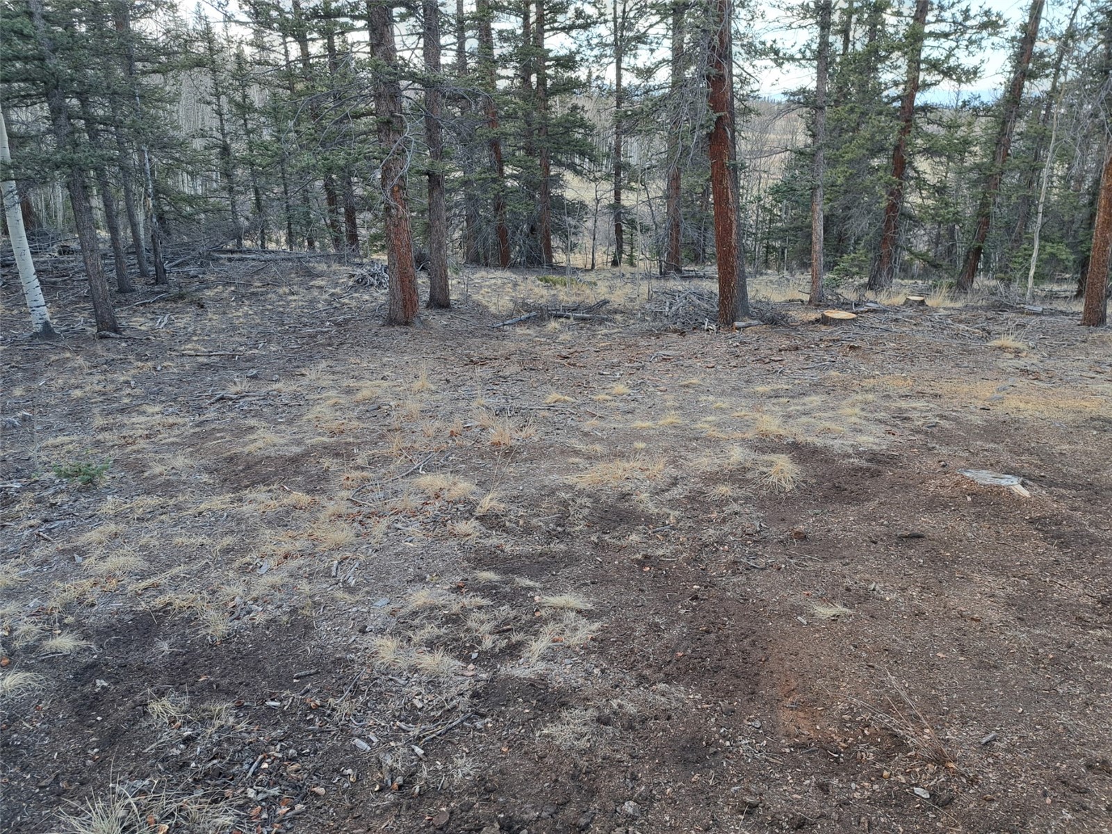1059 Piaute Way Como CO 80432
