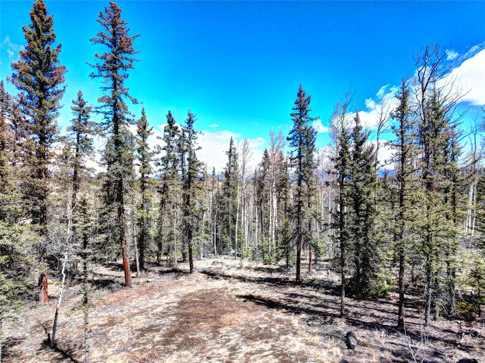 1059 Piaute Way Como CO 80432