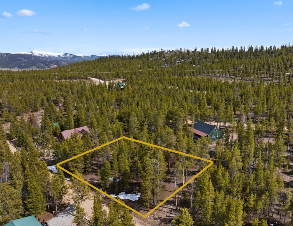104 Juniper Drive Twin Lakes CO 80461