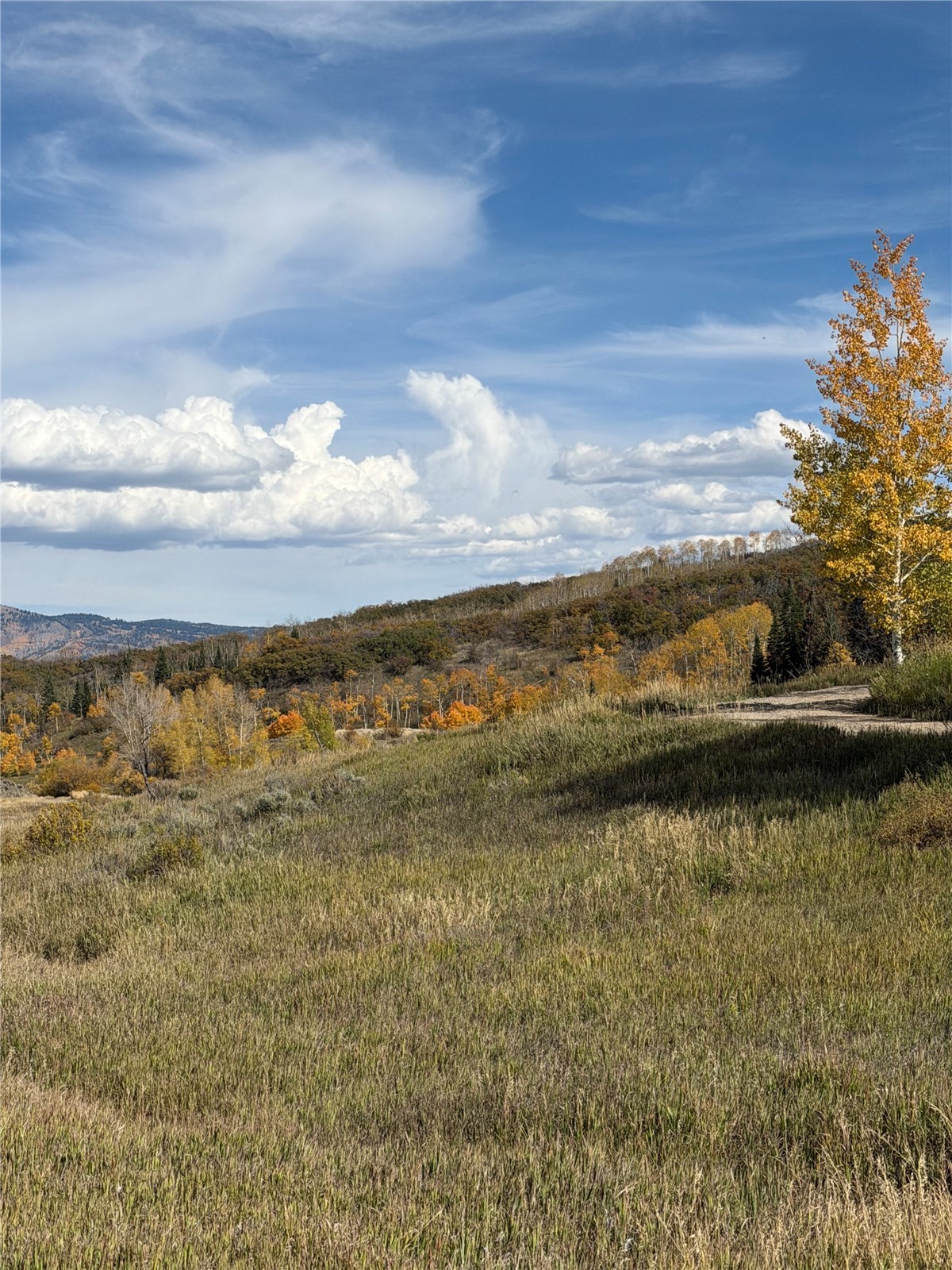 33880 County Road 43a Steamboat Springs CO 80487