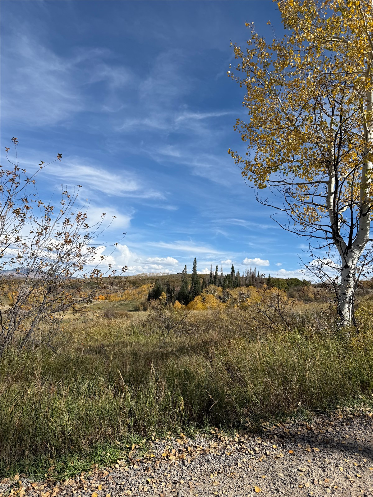 33880 County Road 43a Steamboat Springs CO 80487