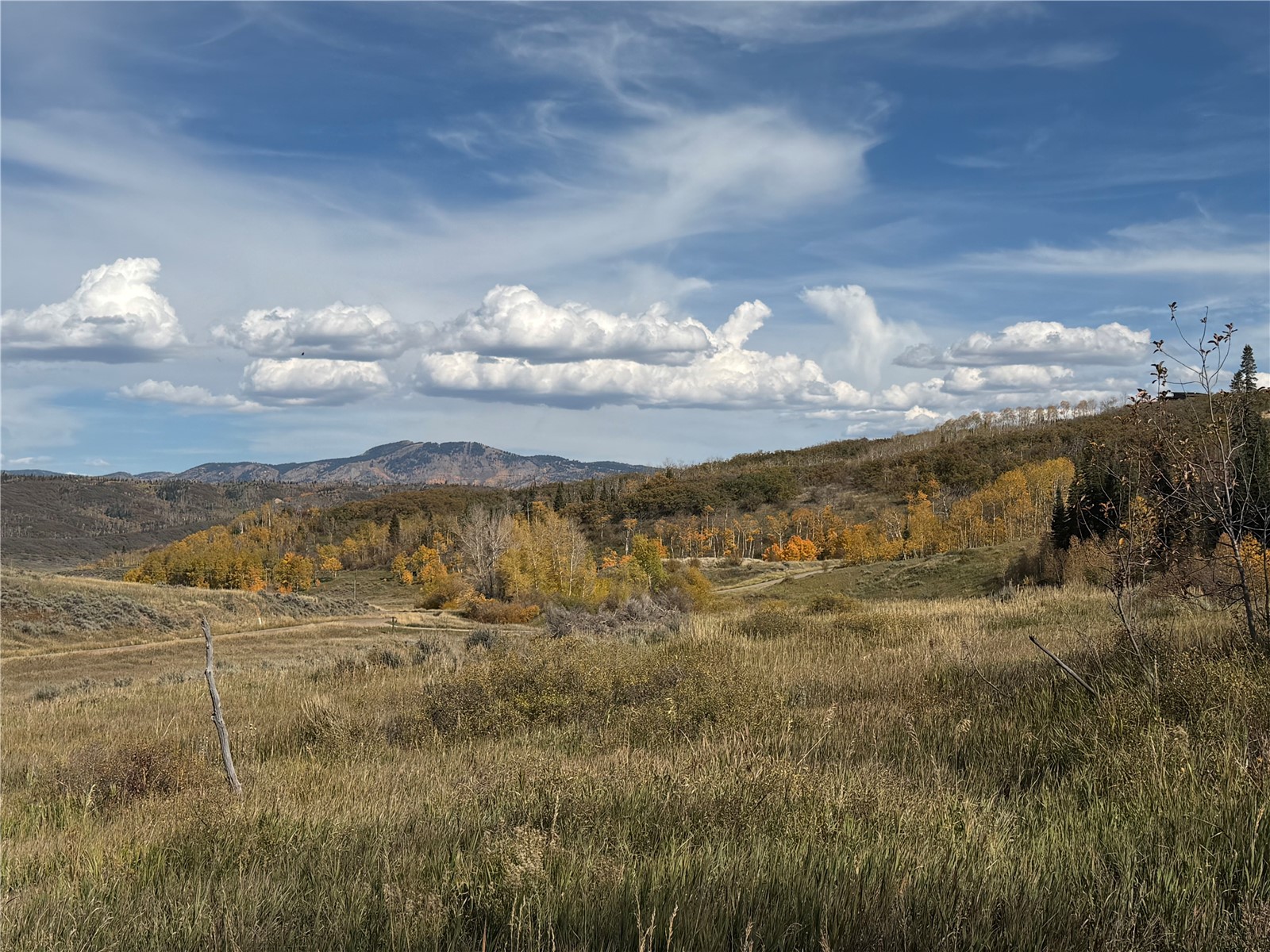 33880 County Road 43a Steamboat Springs CO 80487