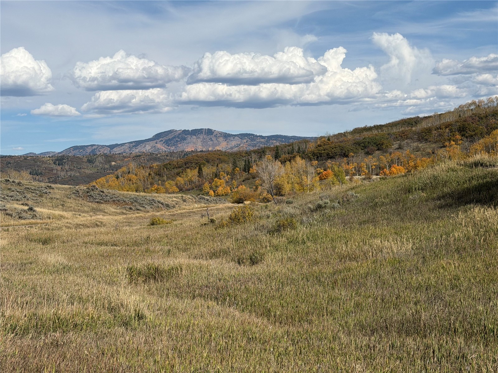 33880 County Road 43a Steamboat Springs CO 80487