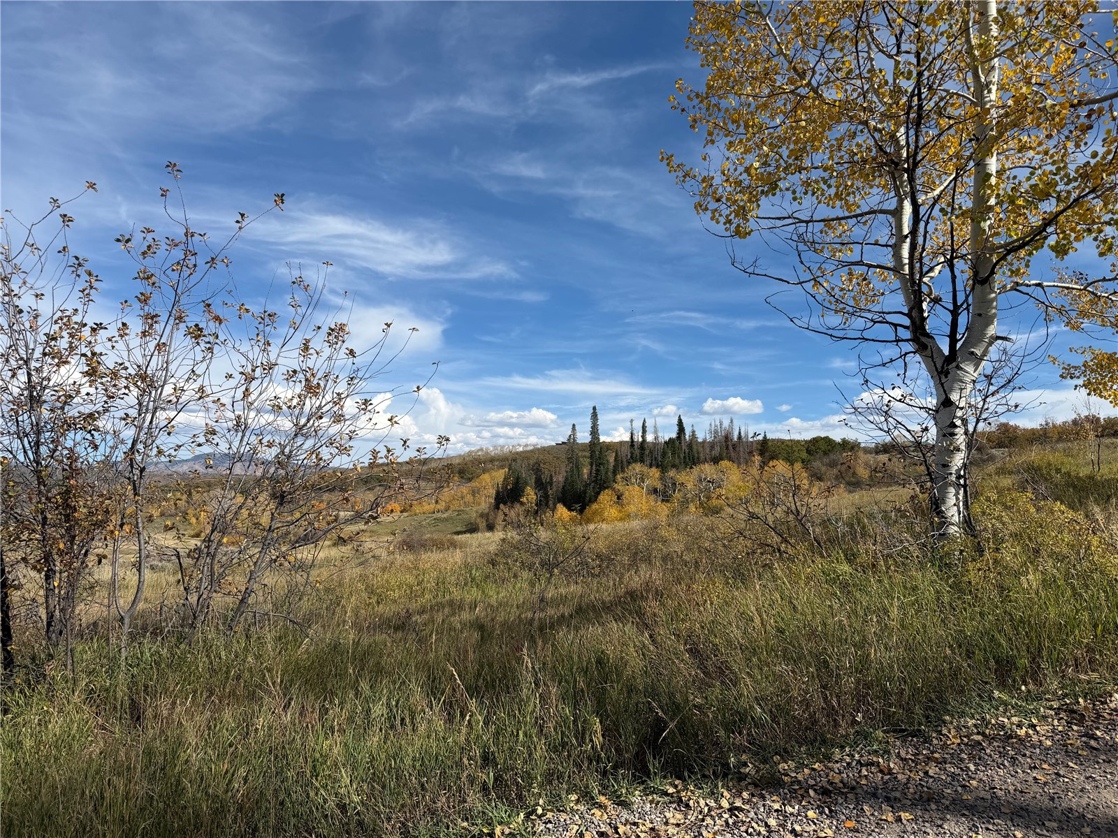33880 County Road 43a Steamboat Springs CO 80487