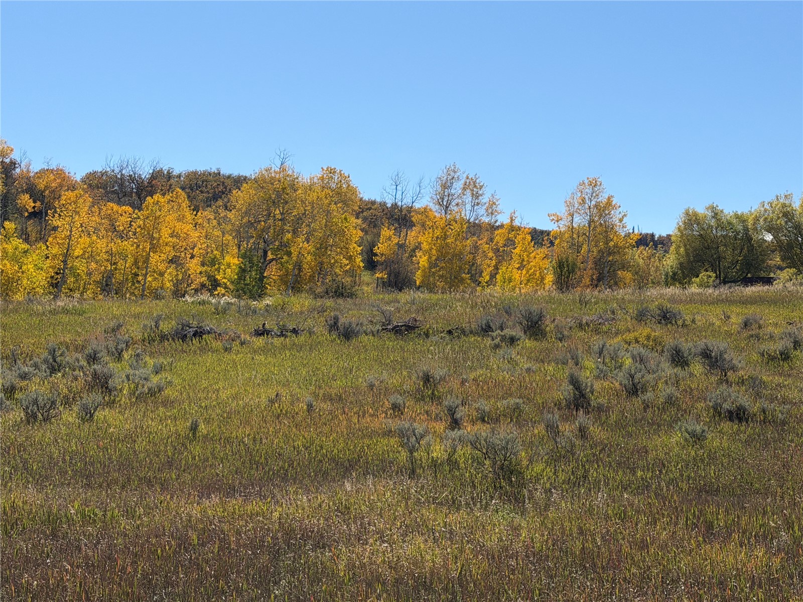 33880 County Road 43a Steamboat Springs CO 80487
