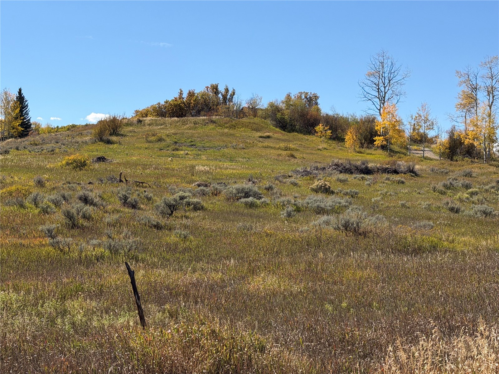 33880 County Road 43a Steamboat Springs CO 80487