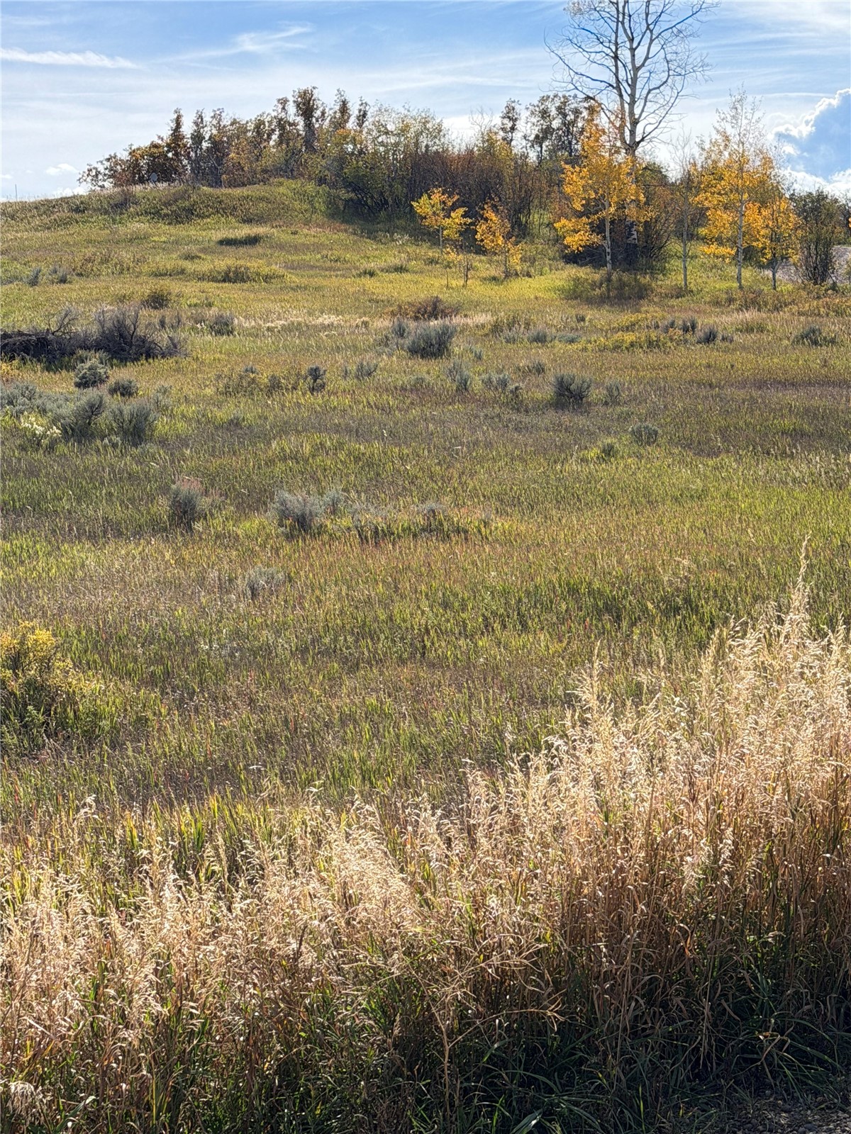 33880 County Road 43a Steamboat Springs CO 80487
