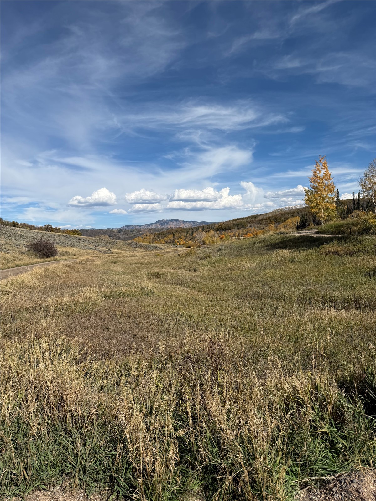 33880 County Road 43a Steamboat Springs CO 80487