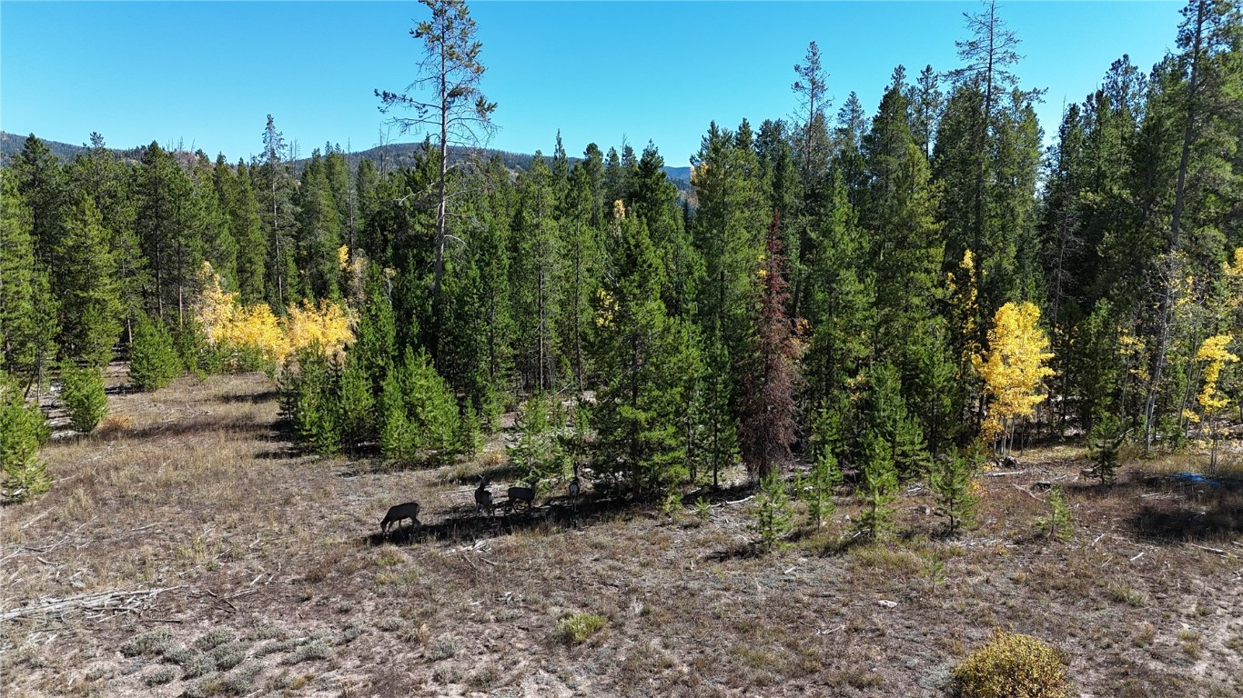 33335 Appaloosa Way Oak Creek CO 80467