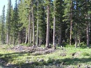 165 Silverheels Place Fairplay CO 80440
