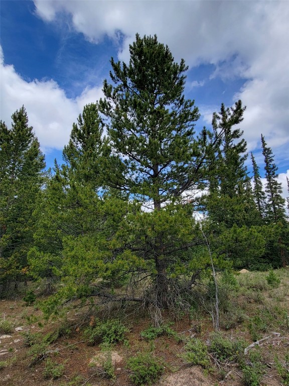 165 Silverheels Place Fairplay CO 80440
