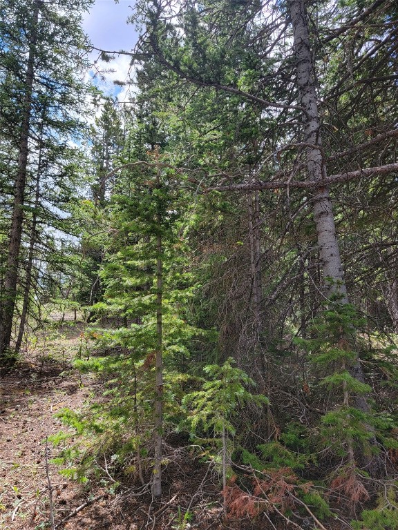165 Silverheels Place Fairplay CO 80440
