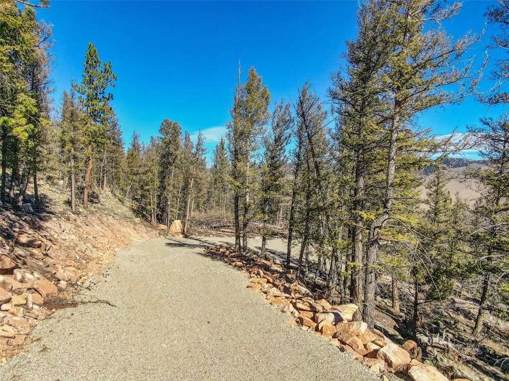 4538 Middle Fork Fairplay CO 80440