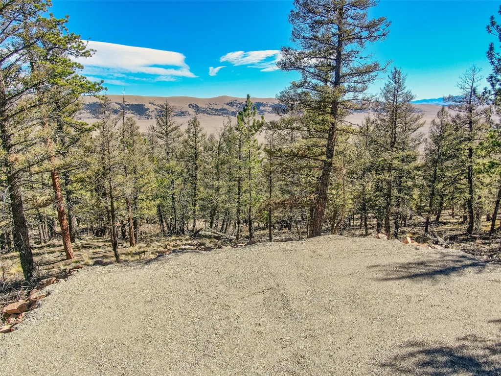 4538 Middle Fork Fairplay CO 80440