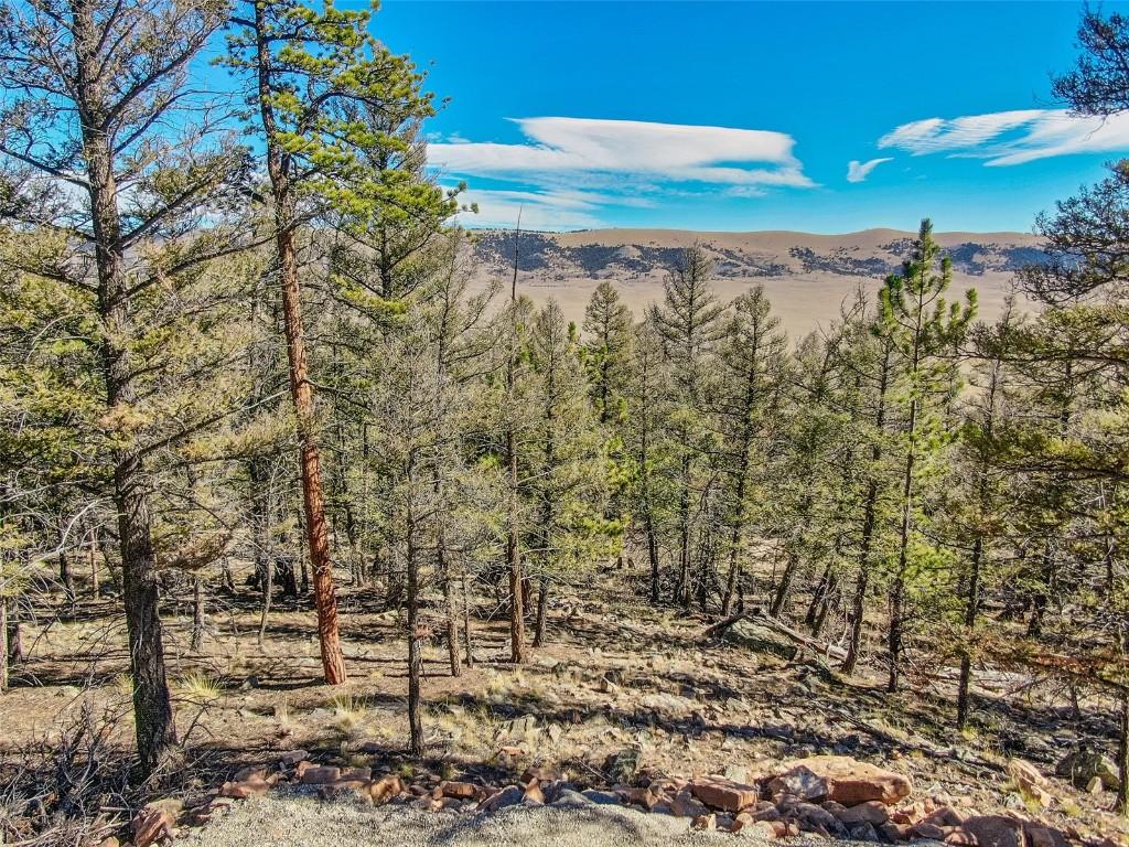 4538 Middle Fork Fairplay CO 80440
