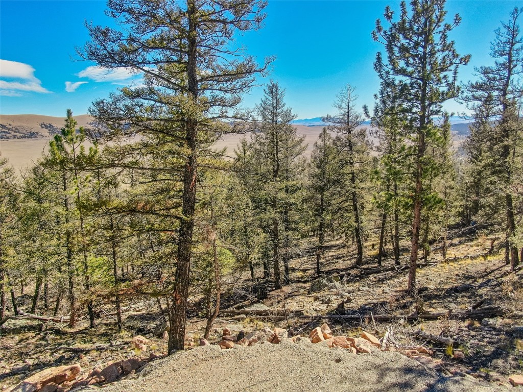 4538 Middle Fork Fairplay CO 80440