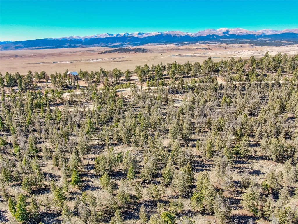4538 Middle Fork Fairplay CO 80440