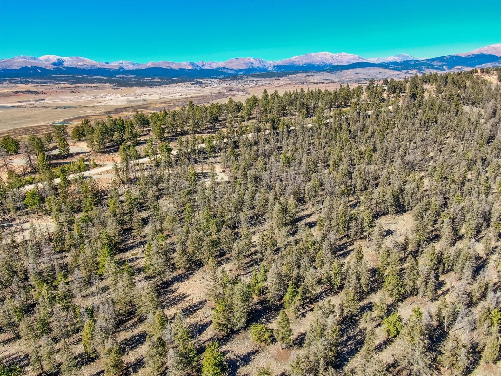 4538 Middle Fork Fairplay CO 80440
