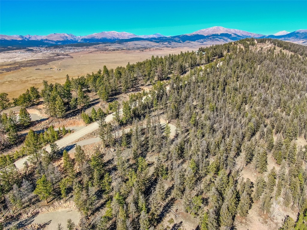4538 Middle Fork Fairplay CO 80440