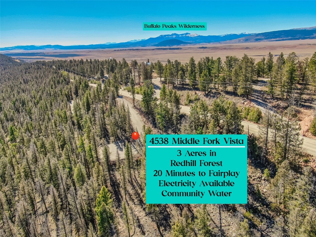 4538 Middle Fork Fairplay CO 80440