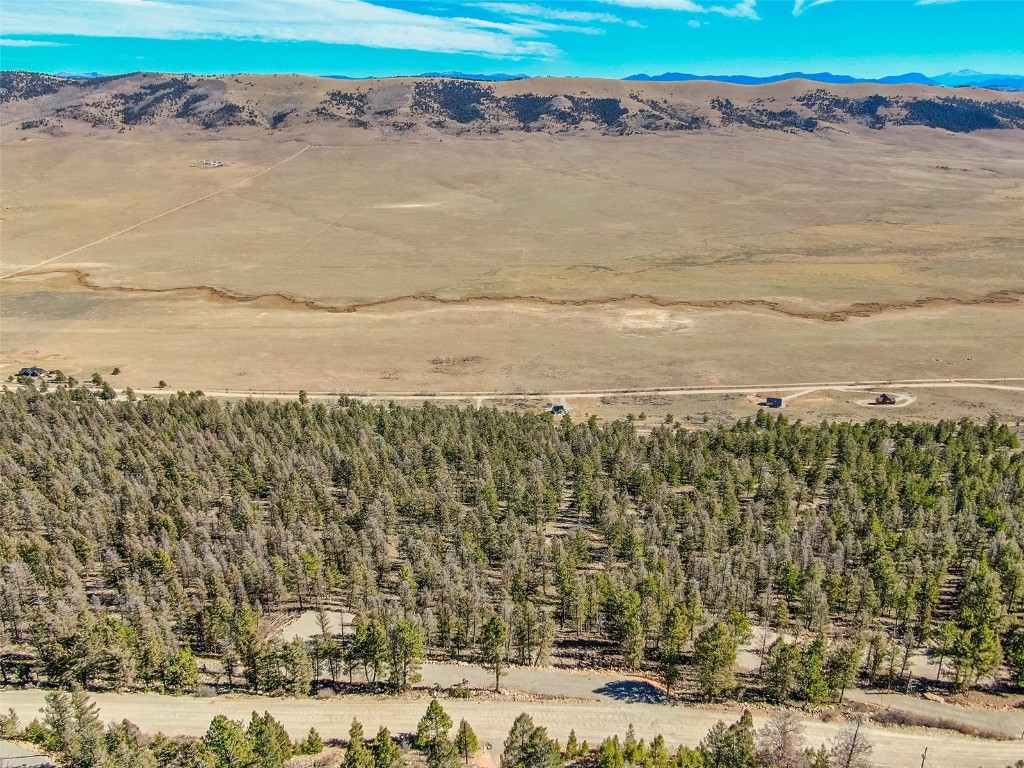 4538 Middle Fork Fairplay CO 80440