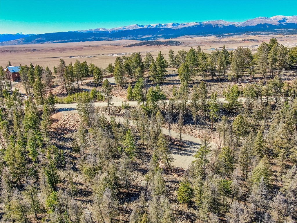 4538 Middle Fork Fairplay CO 80440