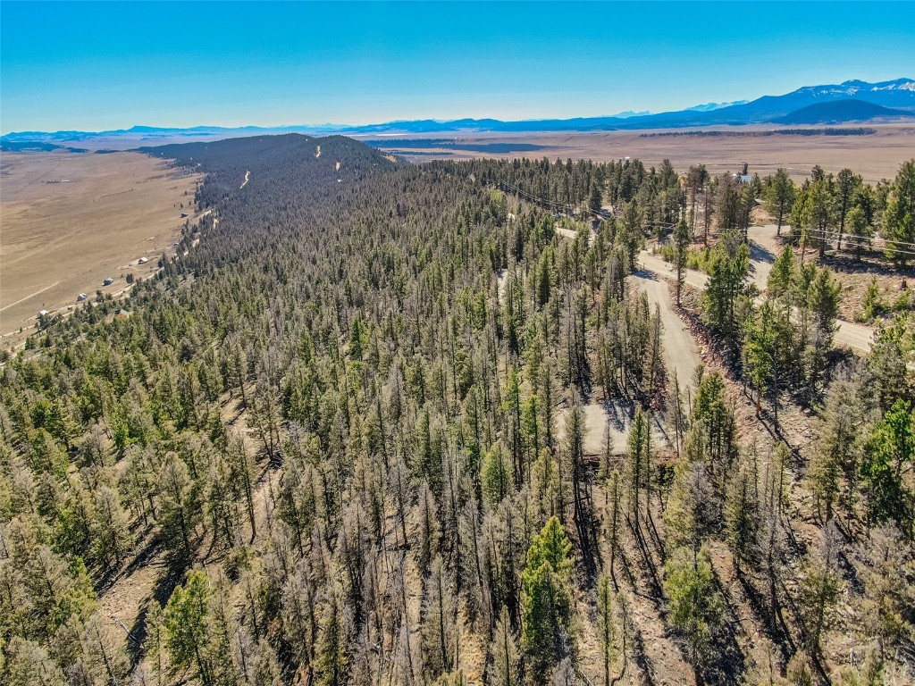 4538 Middle Fork Fairplay CO 80440