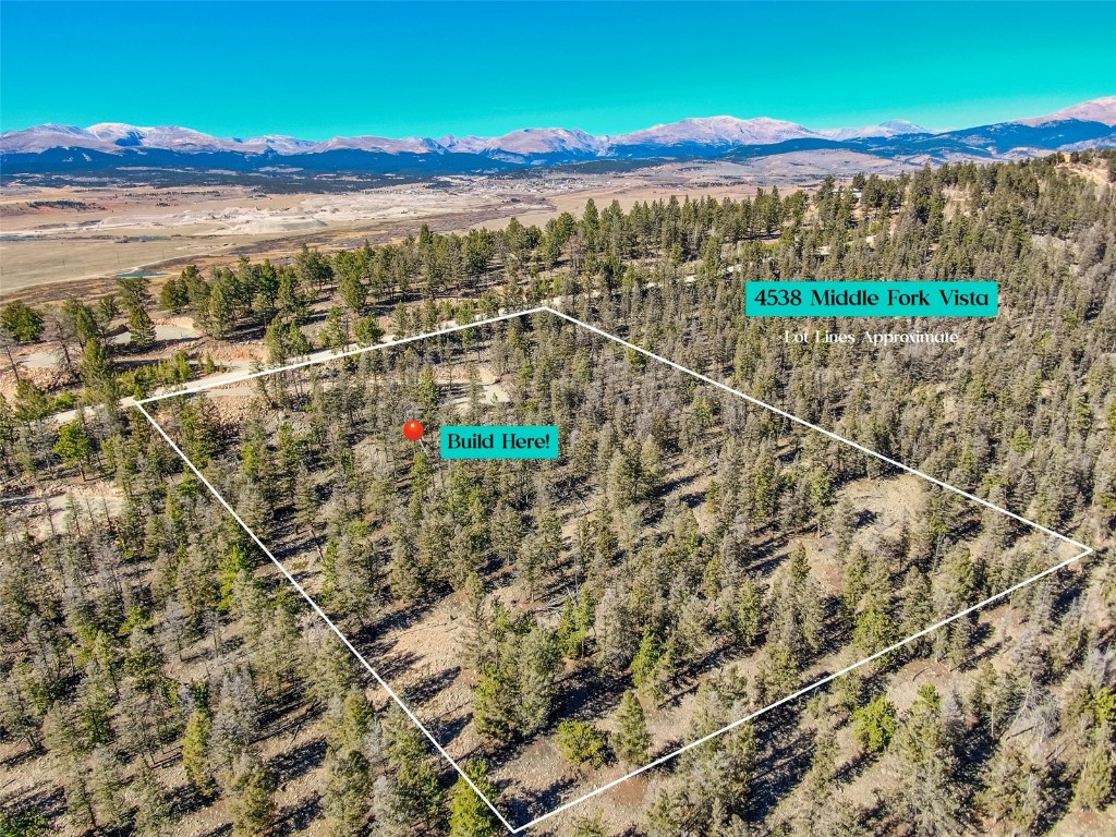 4538 Middle Fork Fairplay CO 80440