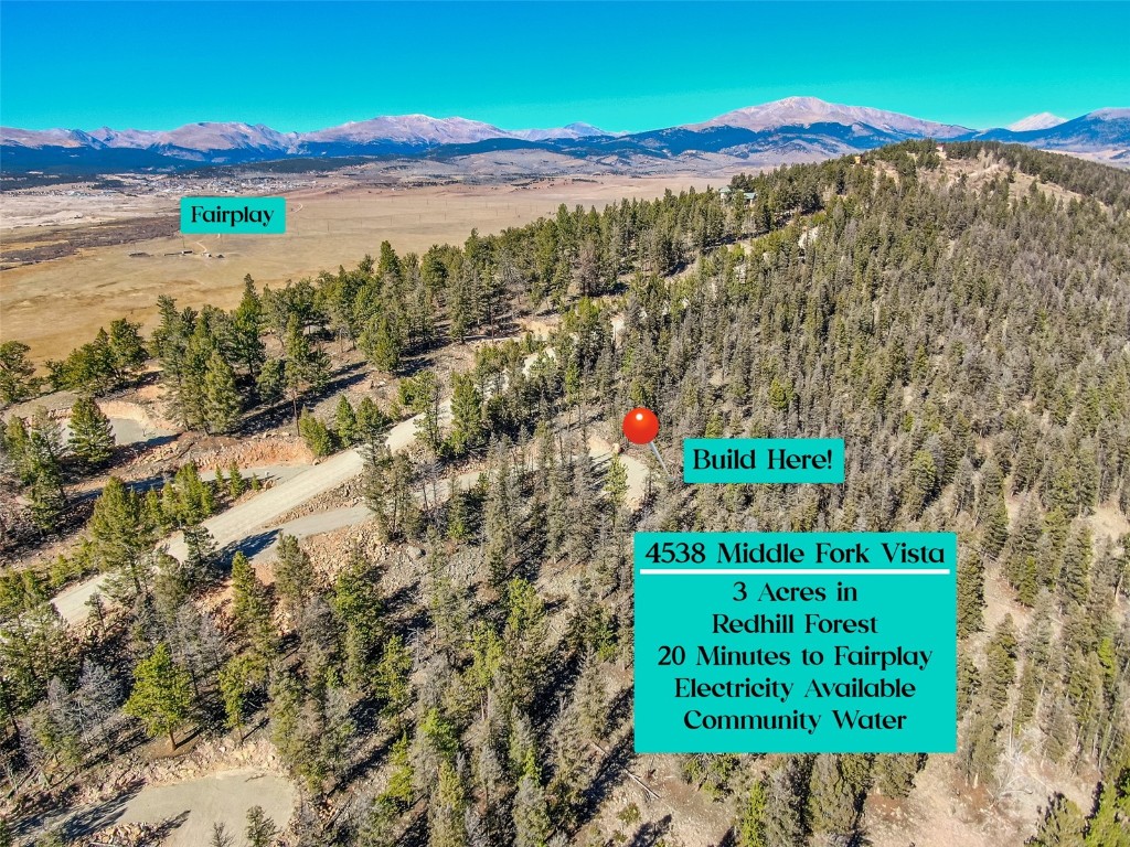 4538 Middle Fork Fairplay CO 80440