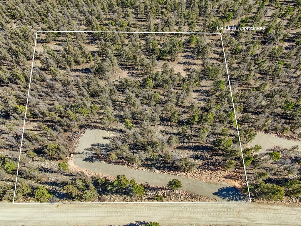4538 Middle Fork Fairplay CO 80440