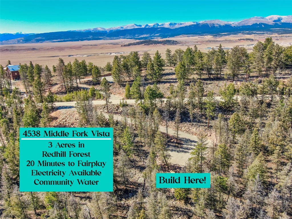 4538 Middle Fork Fairplay CO 80440