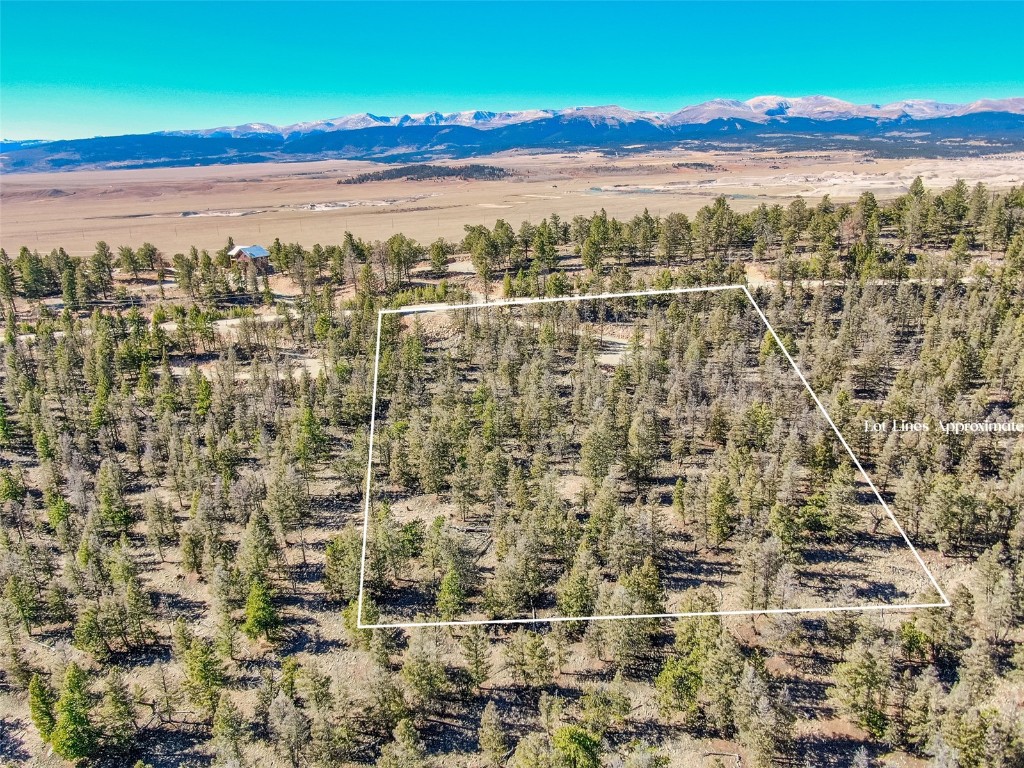 4538 Middle Fork Fairplay CO 80440