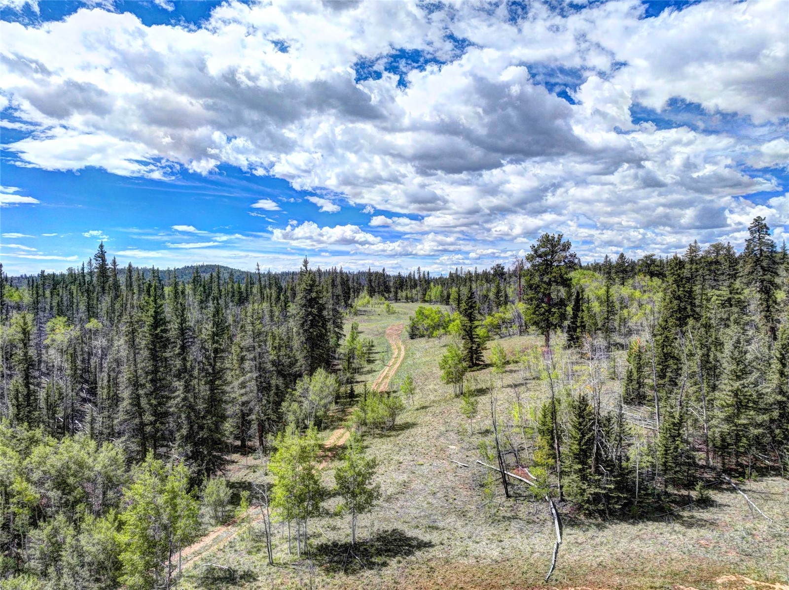 860 Shoshone Drive Como CO 80432