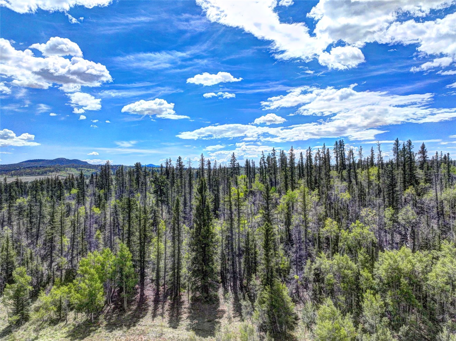 860 Shoshone Drive Como CO 80432