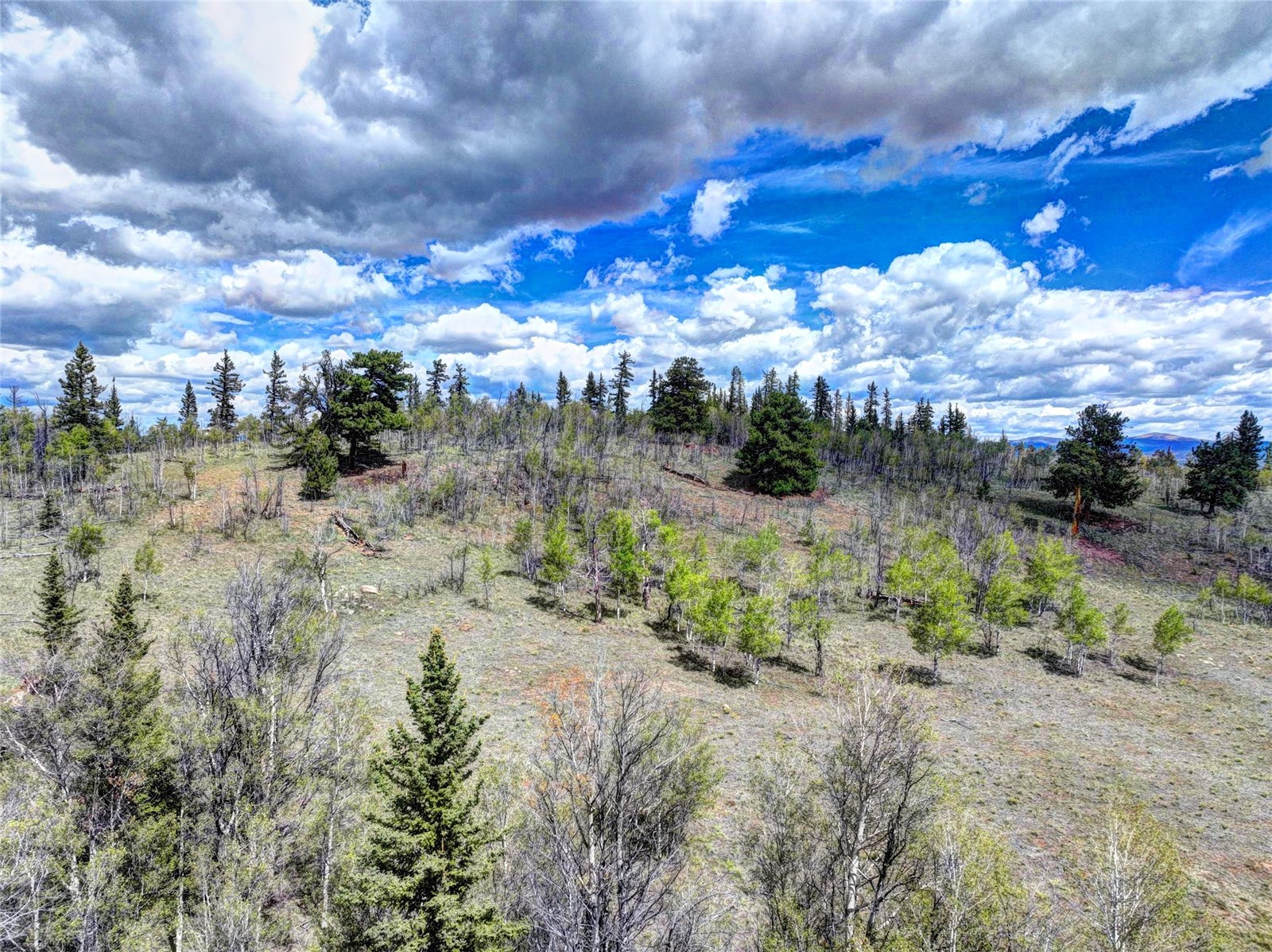 860 Shoshone Drive Como CO 80432