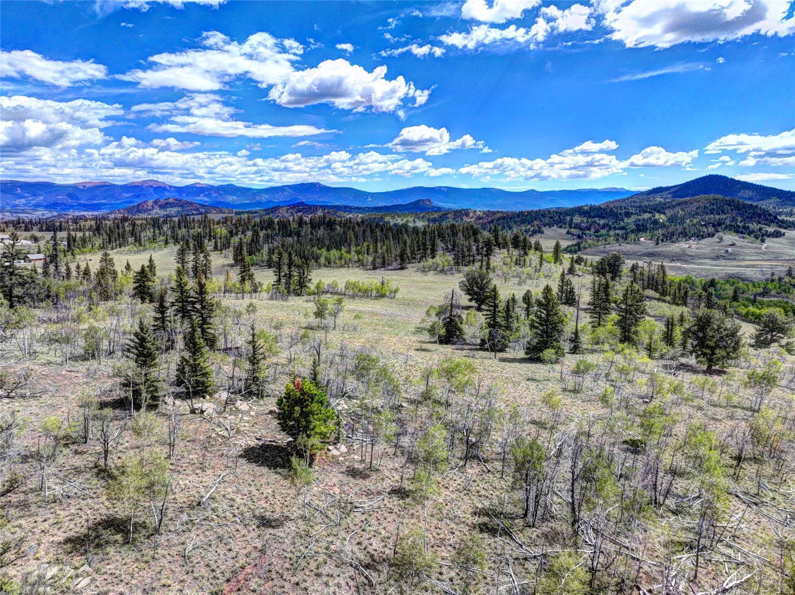 860 Shoshone Drive Como CO 80432