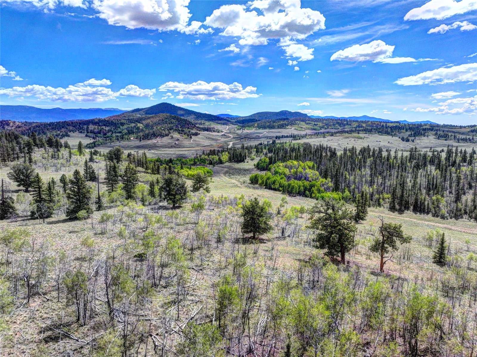 860 Shoshone Drive Como CO 80432