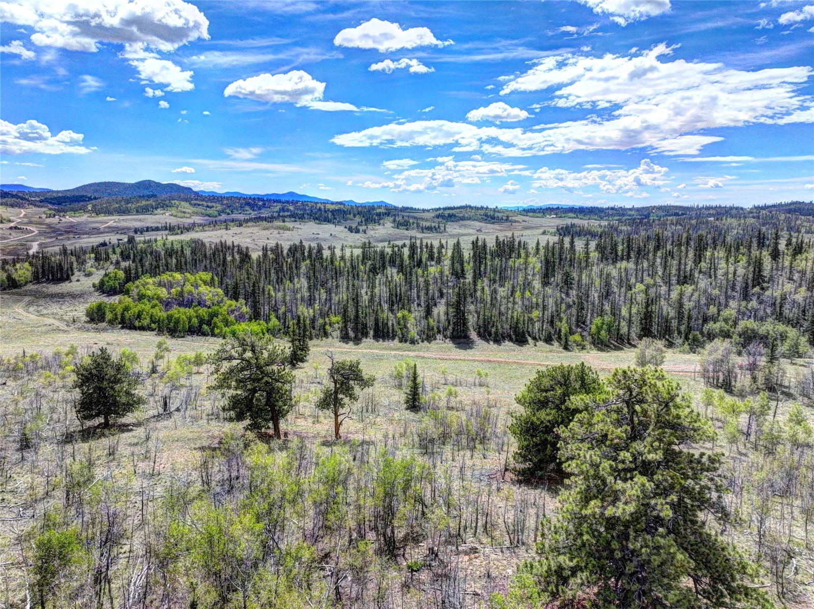860 Shoshone Drive Como CO 80432