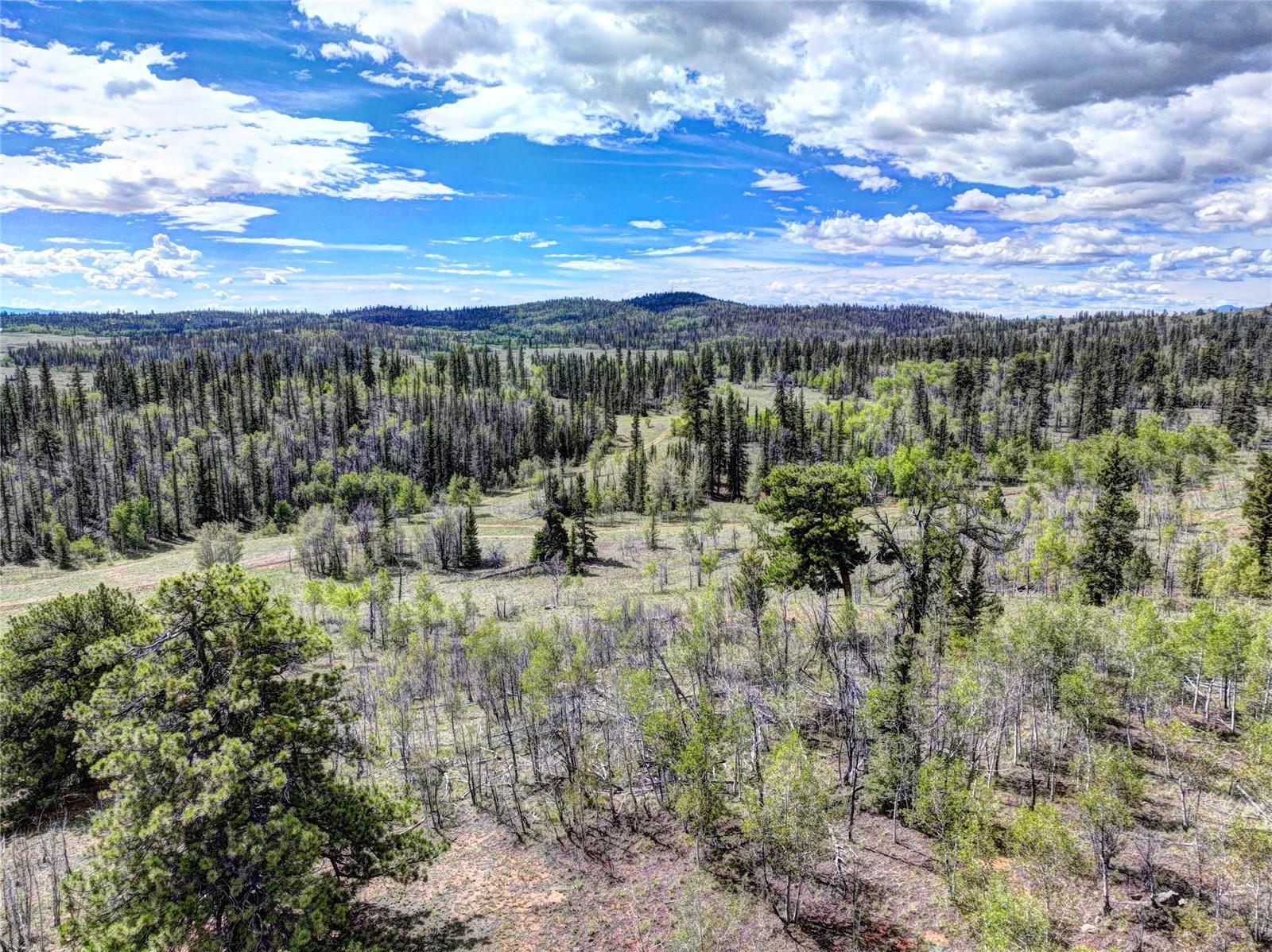 860 Shoshone Drive Como CO 80432