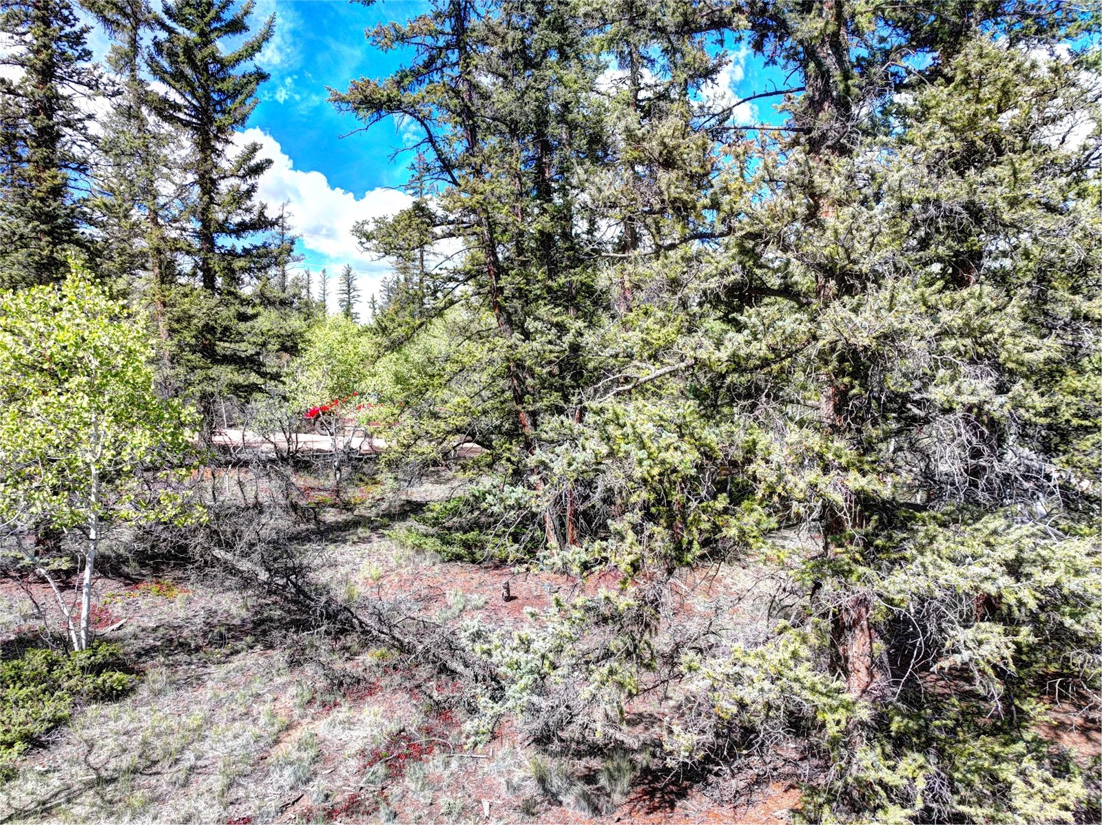 860 Shoshone Drive Como CO 80432