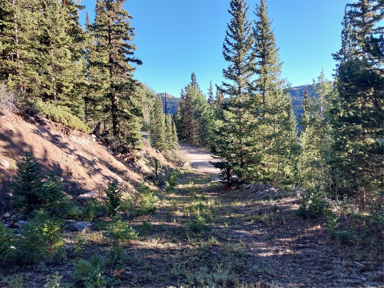 1062 Roberts Road Alma CO 80420